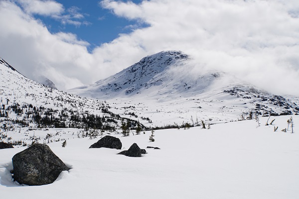 Snow covered landscape - White Pass Snow Shoe Adventure - Skagway © Holidays Beckon Pty Ltd